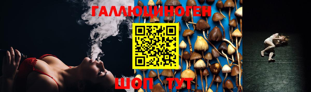 Псилоцибиновые грибы Psilocybe  цена   Ухта  Галлюциногенные грибы мухоморы  Вход с VPN 